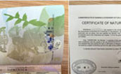 【全球护照多米尼克成功案例】S先生及家人仅45日成功获批多米尼克护照