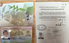 【全球護照多米尼克成功案例】S先生及家人僅45日成功獲批多米尼克護照
