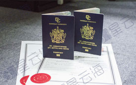 喜訊|恭喜P先生喜獲聖基茨·尼維斯護照和公民證書！