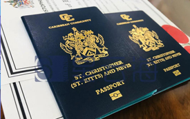 喜訊 | 恭喜P女士及家人獲聖基茨·尼維斯護照和公民證書！