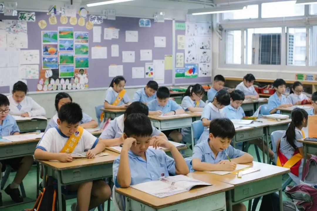 【最全】香港小學擇校指南，建議收藏