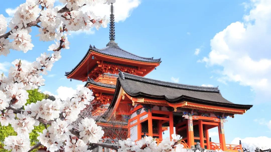 移居日本兩大熱門途徑，哪種更適合您？