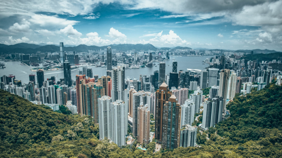 香港高才通計劃，申請門檻有望降低！