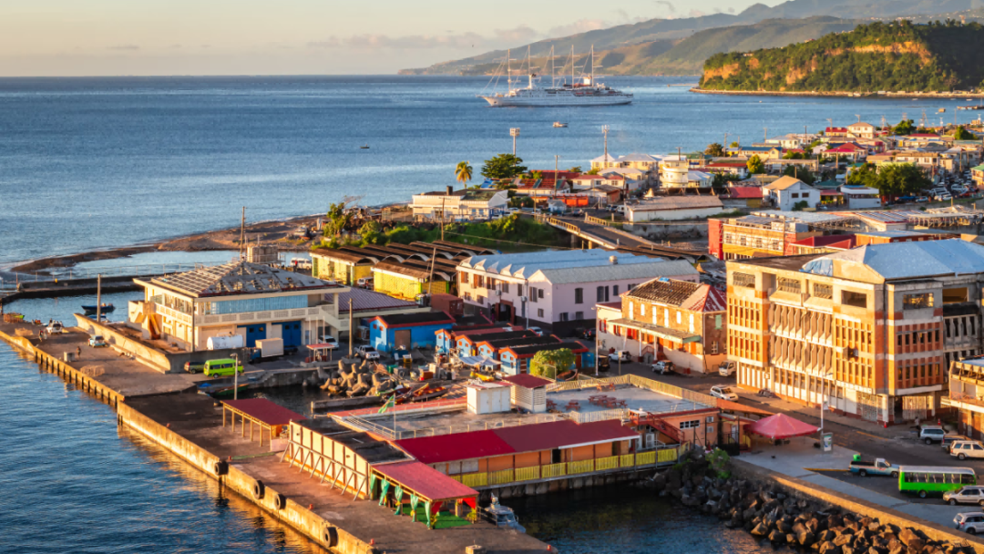 小國護照該如何選擇？多米尼克備受青睞！