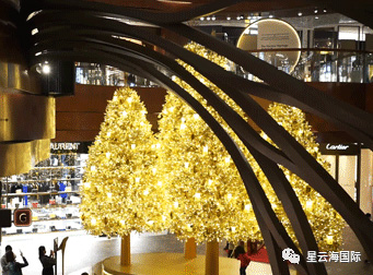 1609136756133691.jpg 15.jpg