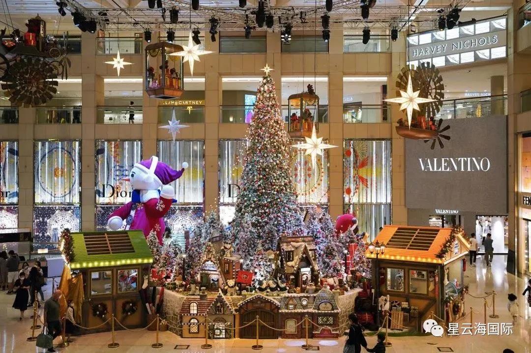 1609136777112355.jpg 17.jpg