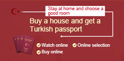 Turkish passport immigration