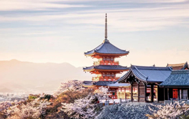 日本丨一张日本经营管理签证，能带给您什么？