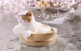 日本丨冬日疗愈之地，在日本の温泉池里