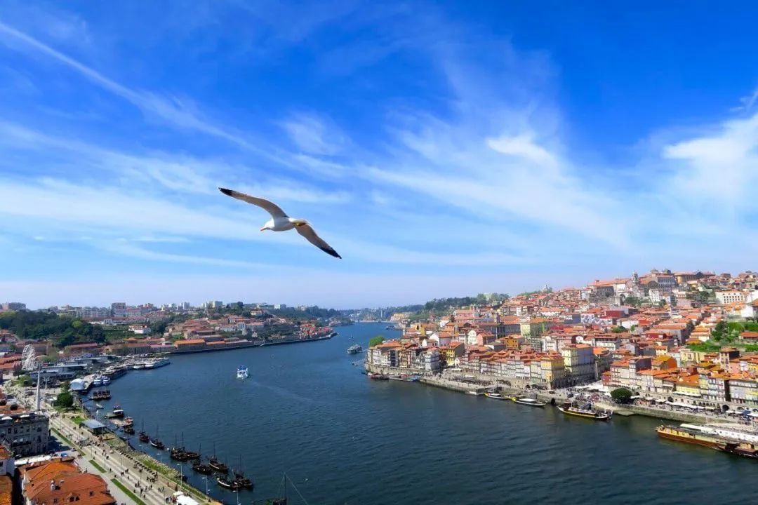 Portugal Golden Visa, a total of 179 main applicants were approved in June