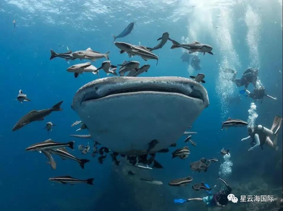 微信图片_20201009110631.jpg