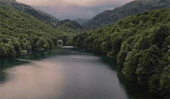 Q.gif 