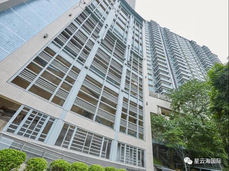 1636360581798583.jpg 169.jpg